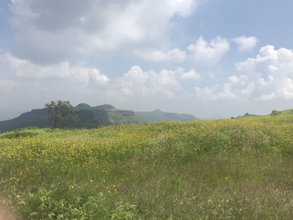 Photo of Lohagad Fort, Lohagad Trek Road, Maharashtra, India by The_Budget_Backpacker