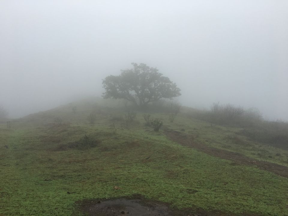 Photo of Rajmachi Fort, Pune, Maharashtra, India by The_Budget_Backpacker