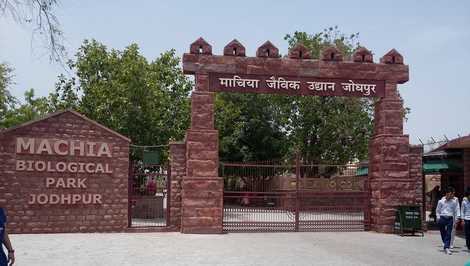 Photo of Machia- New Addition To Jodhpur Travel Itinerary 3/18 by Rakesh Giri Goswami
