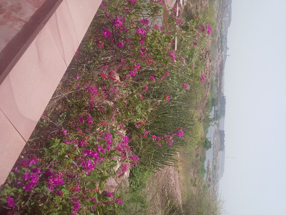 Photo of Machia- New Addition To Jodhpur Travel Itinerary 14/18 by Rakesh Giri Goswami