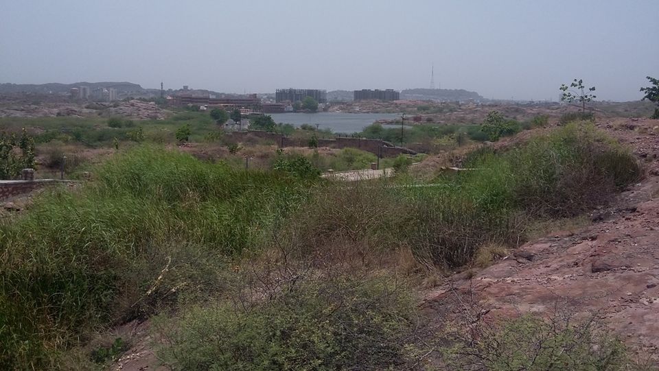 Photo of Machia- New Addition To Jodhpur Travel Itinerary 15/18 by Rakesh Giri Goswami
