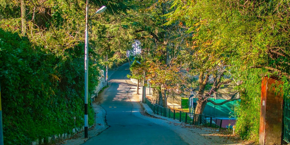 Photo of Kasauli, Himachal Pradesh, India by Malavika Mallya