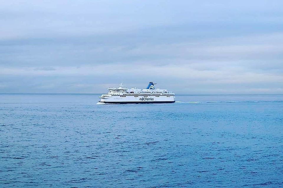Photo of A trip to unconnected wild- Pacific Rim's, BC by Jaya Sarathe Anne