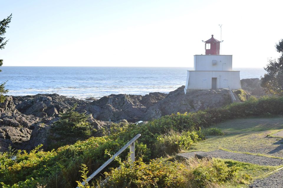 Photo of A trip to unconnected wild- Pacific Rim's, BC 6/6 by Jaya Sarathe Anne