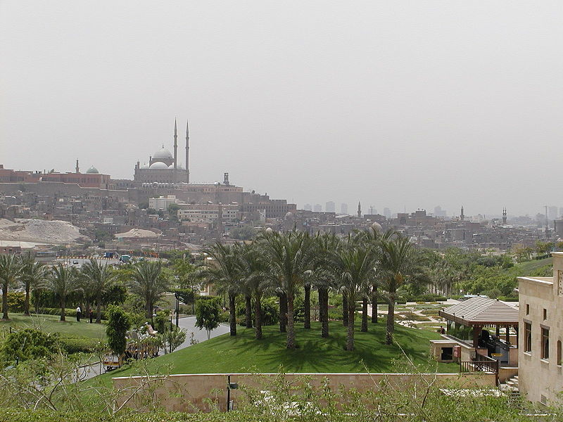 Photo of 1 Day Tour: Egyptian Museum, Citadel & Mosques 11/20 by Mego Tours