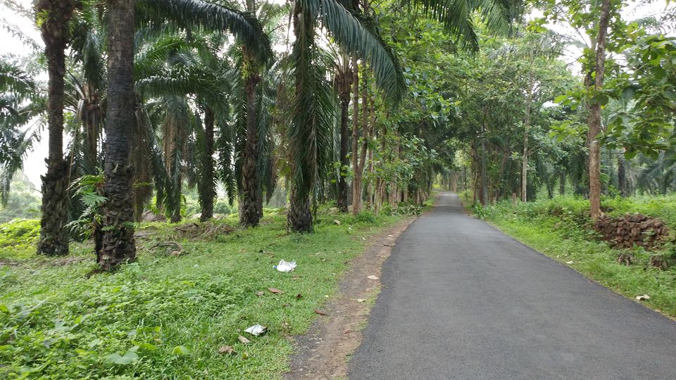 Photo of Enjoy a Bike Ride Through the Forests of Vazhachal in Kerala 1/5 by E Jey