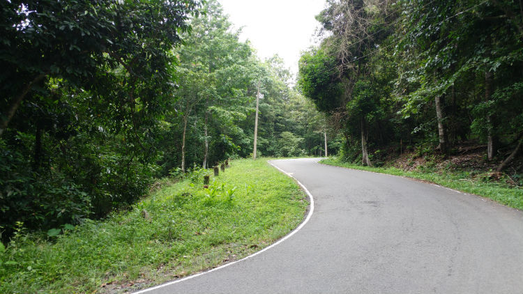 Photo of Enjoy a Bike Ride Through the Forests of Vazhachal in Kerala 2/5 by E Jey