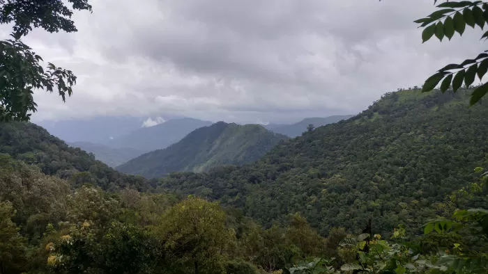 Photo of Peermade, Kerala, India by E Jey