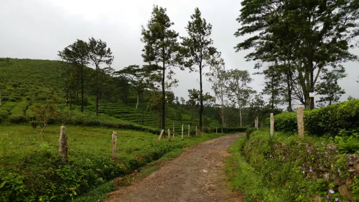 Photo of We've Found The Perfect Alternative To Munnar And It Has Become Our Favourite Hill Station in Kerala by E Jey