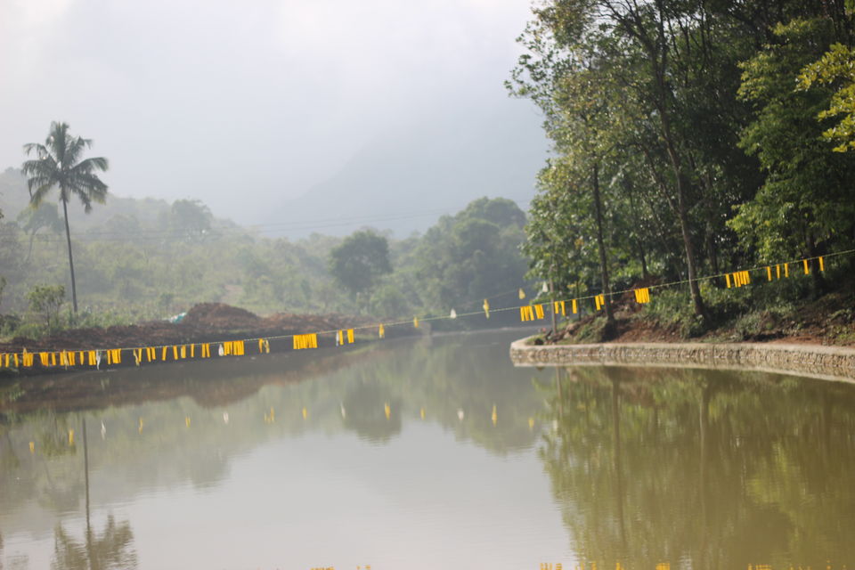 Photo of Muvattupuzha, Kerala, India by E Jey