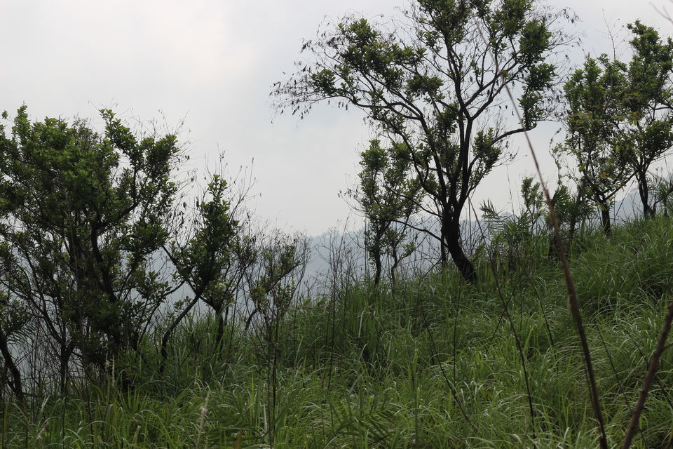 Photo of Ilaveezhapoonchira, Kottayam, Kerala, India by E Jey