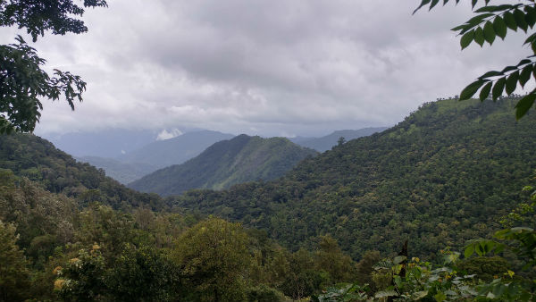 Photo of Peermade, Kerala, India by E Jey