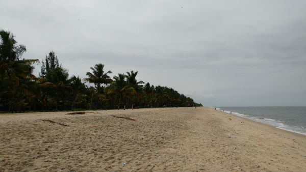 Photo of Marari Beach Alappuzha, Mararikulam, Kerala, India by E Jey