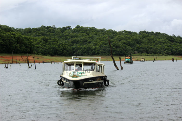Photo of What To See And Explore In Thekkady by E Jey