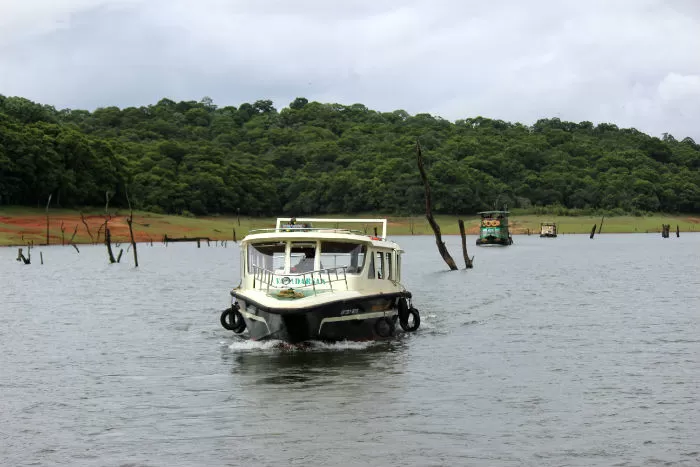 Photo of What To See And Explore In Thekkady by E Jey