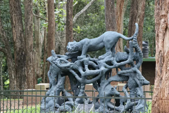 Photo of What To See And Explore In Thekkady by E Jey