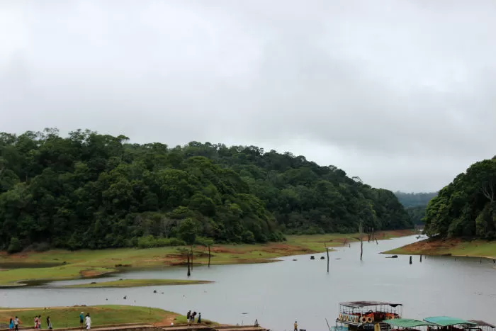Photo of What To See And Explore In Thekkady by E Jey