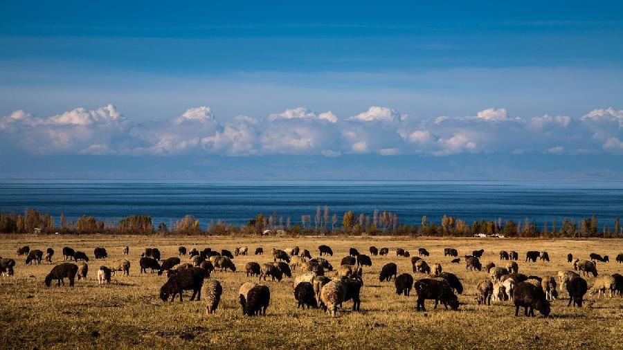Photo of Lost in Kyrgyzstan | Part - I by Shivam Shah
