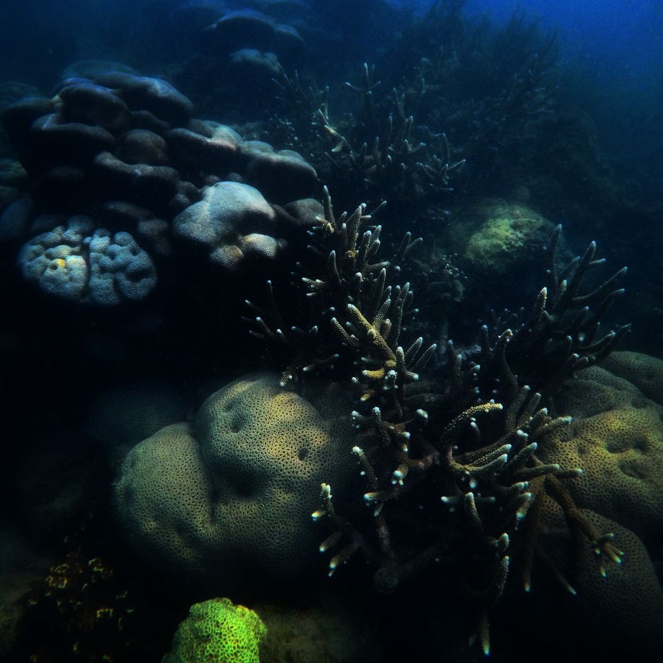 Photo of Aqua Outback, Terku Kalmedu, Tamil Nadu, India by Vinod Desai