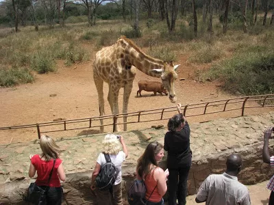 Photo of Nairobi National Park, Nairobi, Kenya by Pix