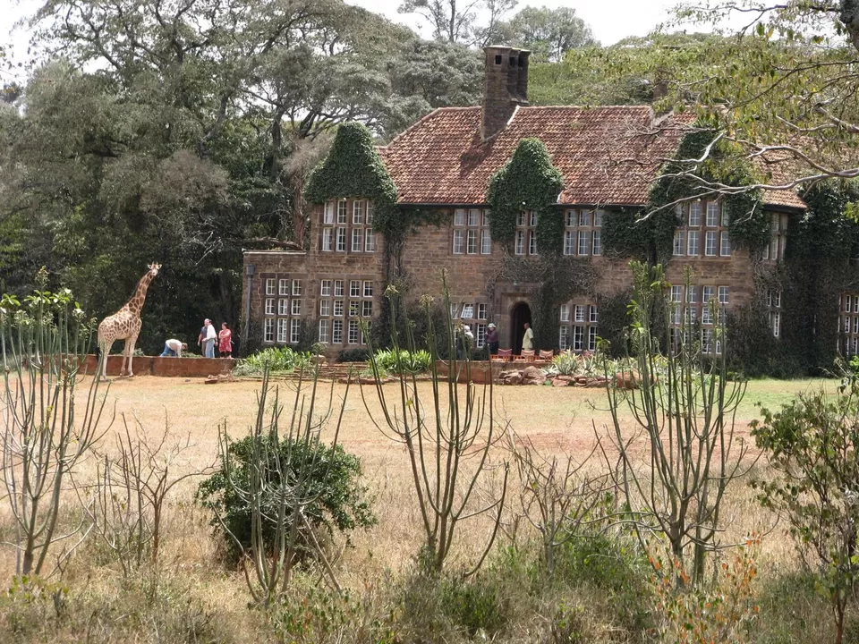 Photo of Nairobi National Park, Nairobi, Kenya by Pix