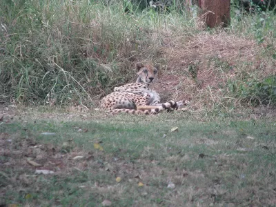 Photo of Nairobi National Park, Nairobi, Kenya by Pix
