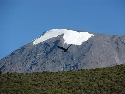 Photo of Kilimanjaro, Tanzania by Pix