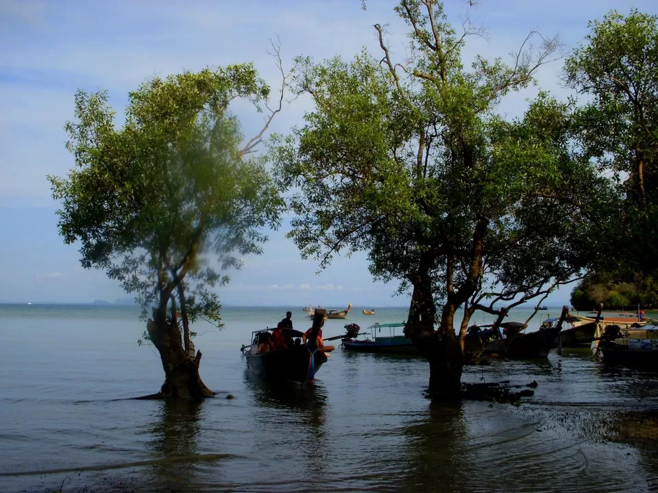 Photo of Railay Beach Ao Nang Krabi Thailand by Pix