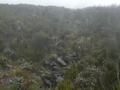 Photo of Kilimanjaro, Tanzania by Pix