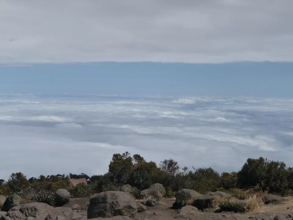 Photo of Kilimanjaro, Tanzania by Pix