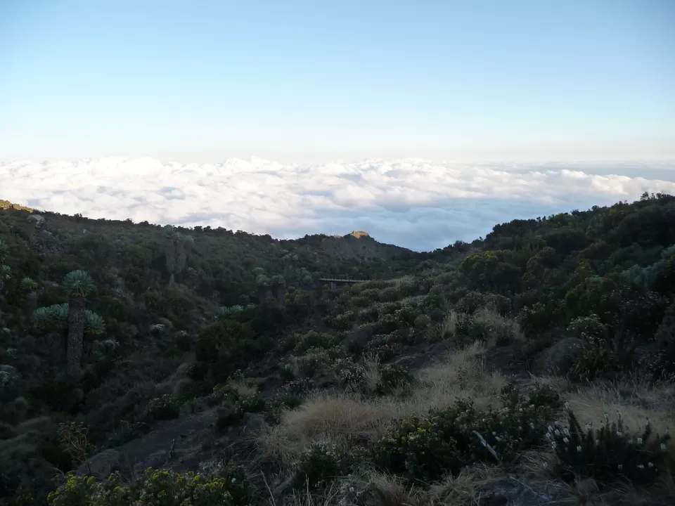 Photo of Kilimanjaro, Tanzania by Pix