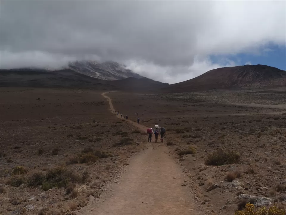Photo of Kilimanjaro, Tanzania by Pix