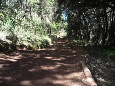Photo of Kilimanjaro, Tanzania by Pix