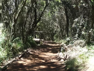 Photo of Kilimanjaro, Tanzania by Pix