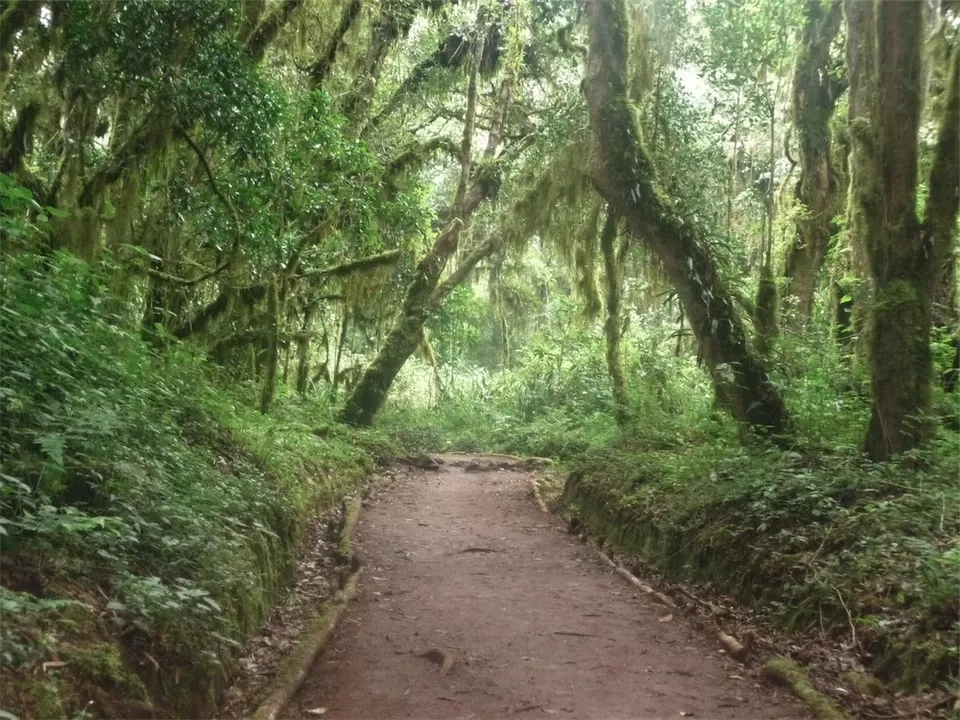 Photo of Kilimanjaro, Tanzania by Pix