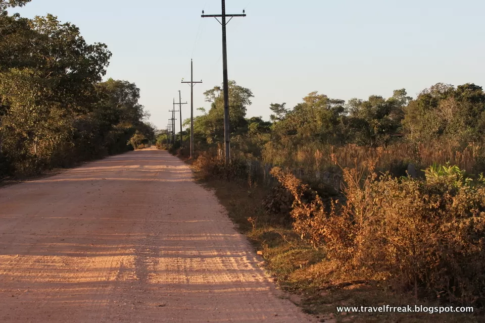 Photo of Pantanal - State of Paraná, Brazil by Pix
