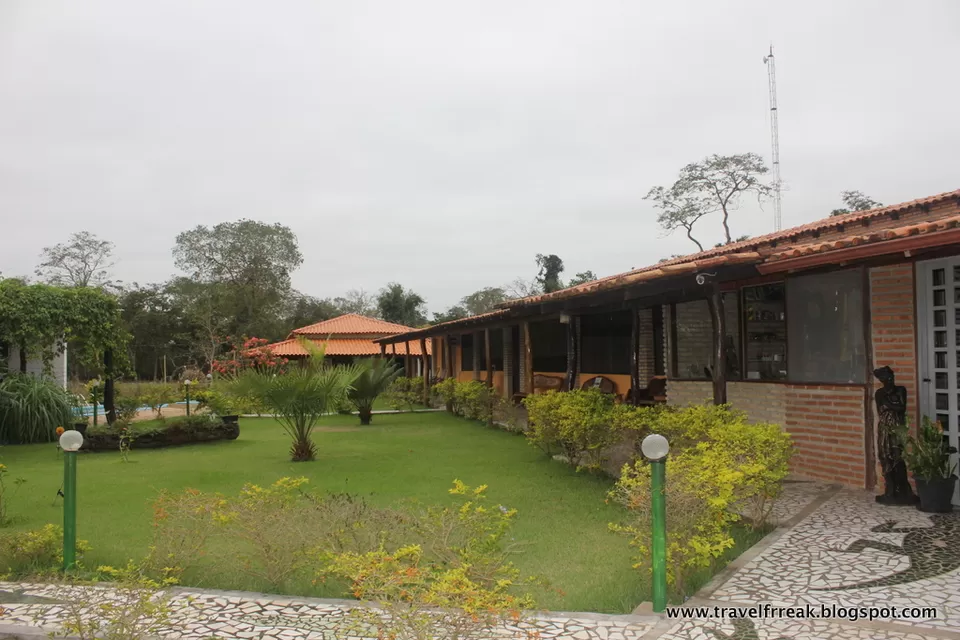 Photo of Pantanal - State of Paraná, Brazil by Pix