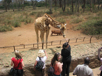 Photo of Africa Calling (1) : Stay in Nairobi 9/16 by Pix