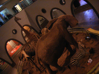 Photo of Africa Calling (1) : Stay in Nairobi 7/16 by Pix