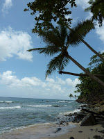 Photo of The Pristine Andamans 8/25 by Pix