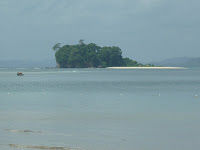 Photo of The Pristine Andamans 14/25 by Pix