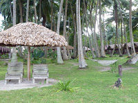 Photo of The Pristine Andamans 16/25 by Pix