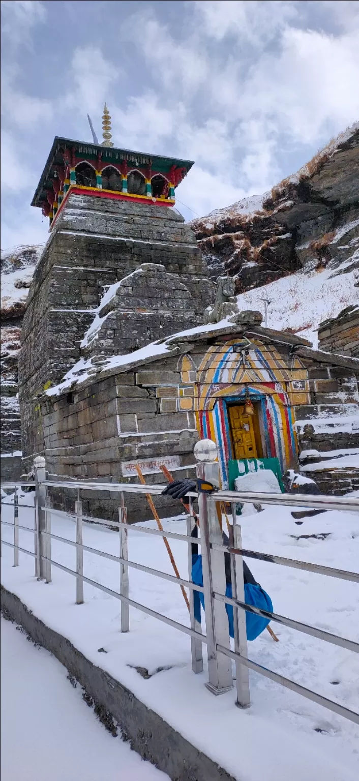 Photo of Chopta by Rohit Insaa