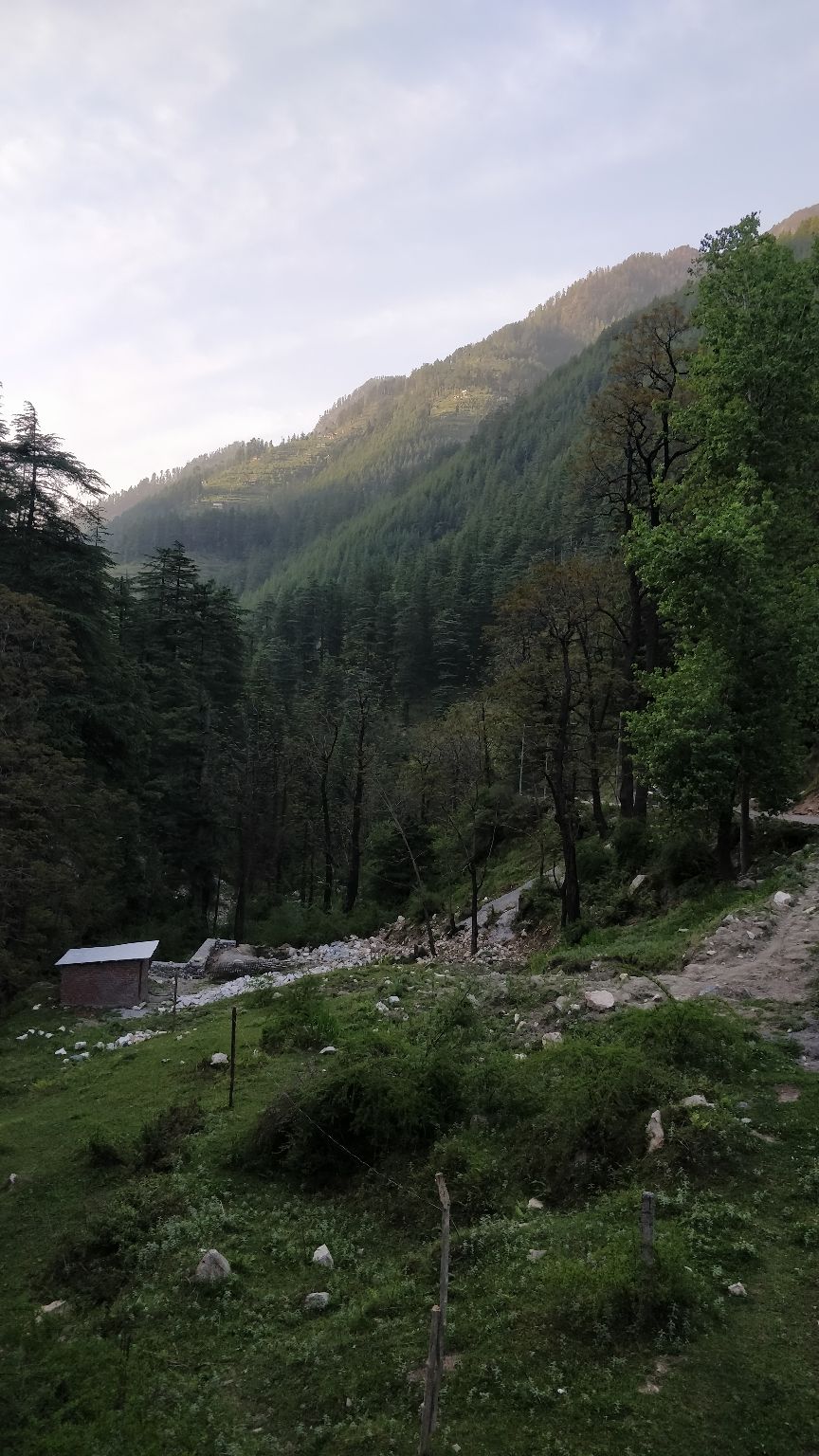 Photo of TreeSouls Hostel Jibhi, village, Jibhi, Himachal Pradesh, India by Anjali Kamath