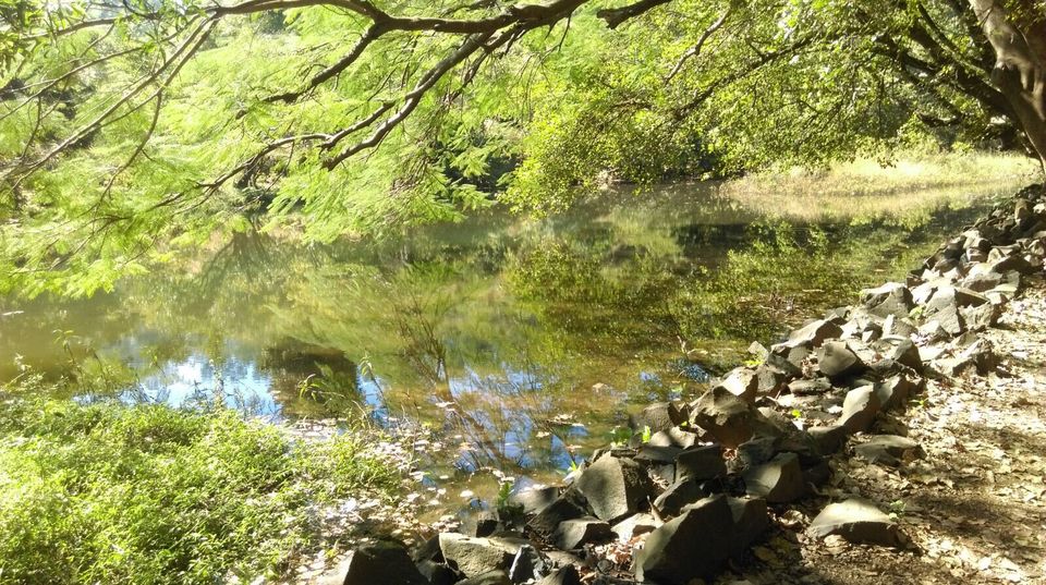 Photo of Igatpuri is not just about trekking! by Anjali Kamath
