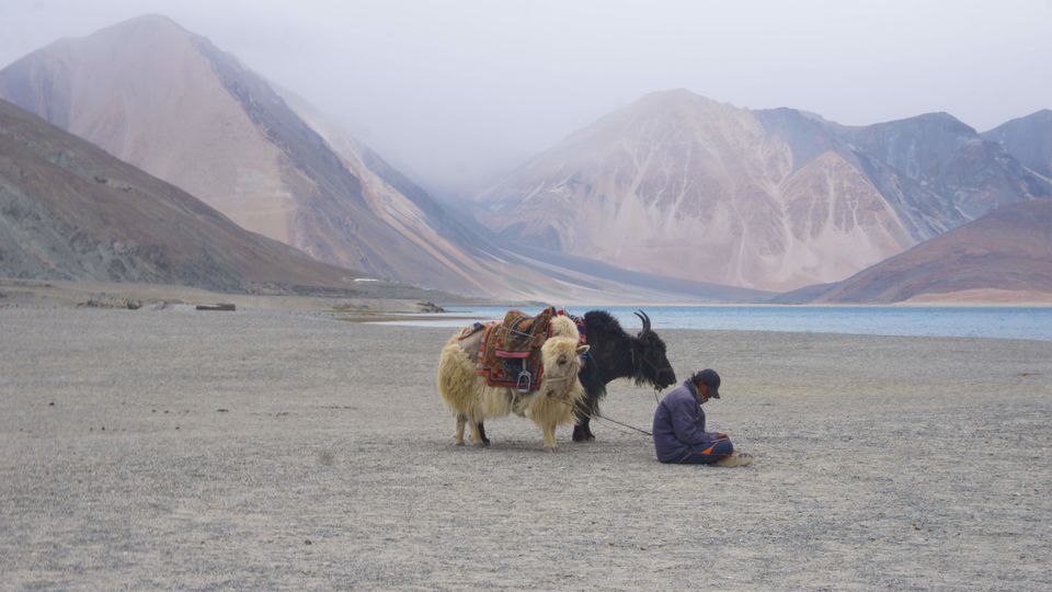 Photo of A thrilling adventure of Leh Ladakh - 1700km by Jay Kangad