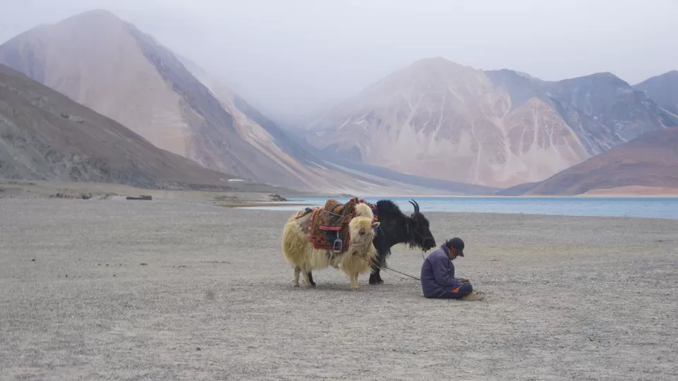 Photo of A Pristine blue waters of Pangong Lake @14000ft - A bike ride from Manali by Jay Kangad