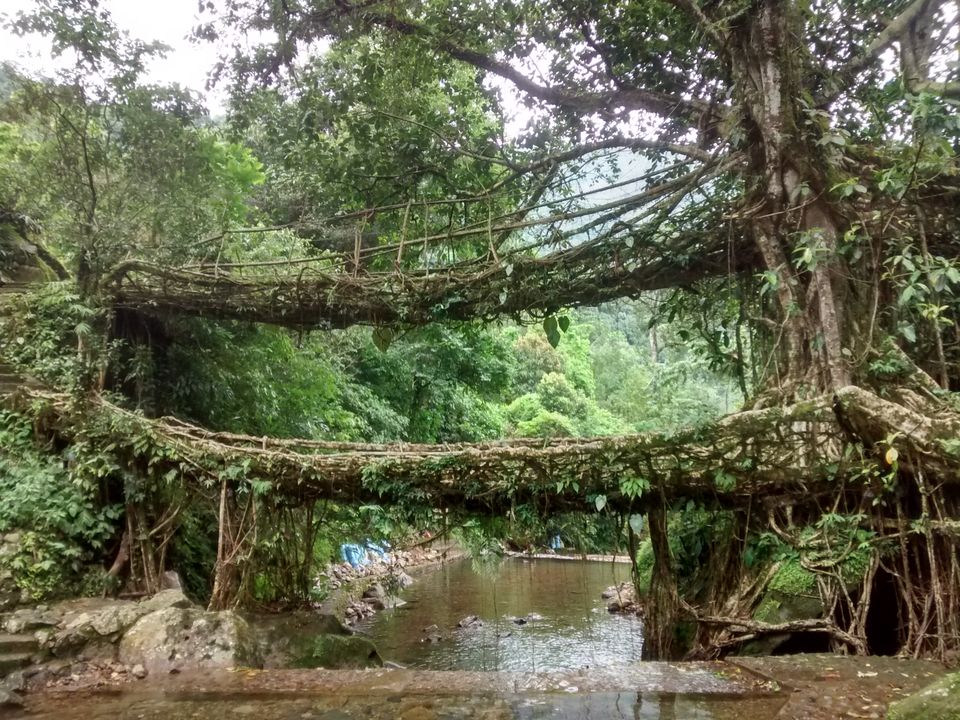 Photo of Get wet at the wettest place on Earth- Cherrapunjee by Eldho Elias