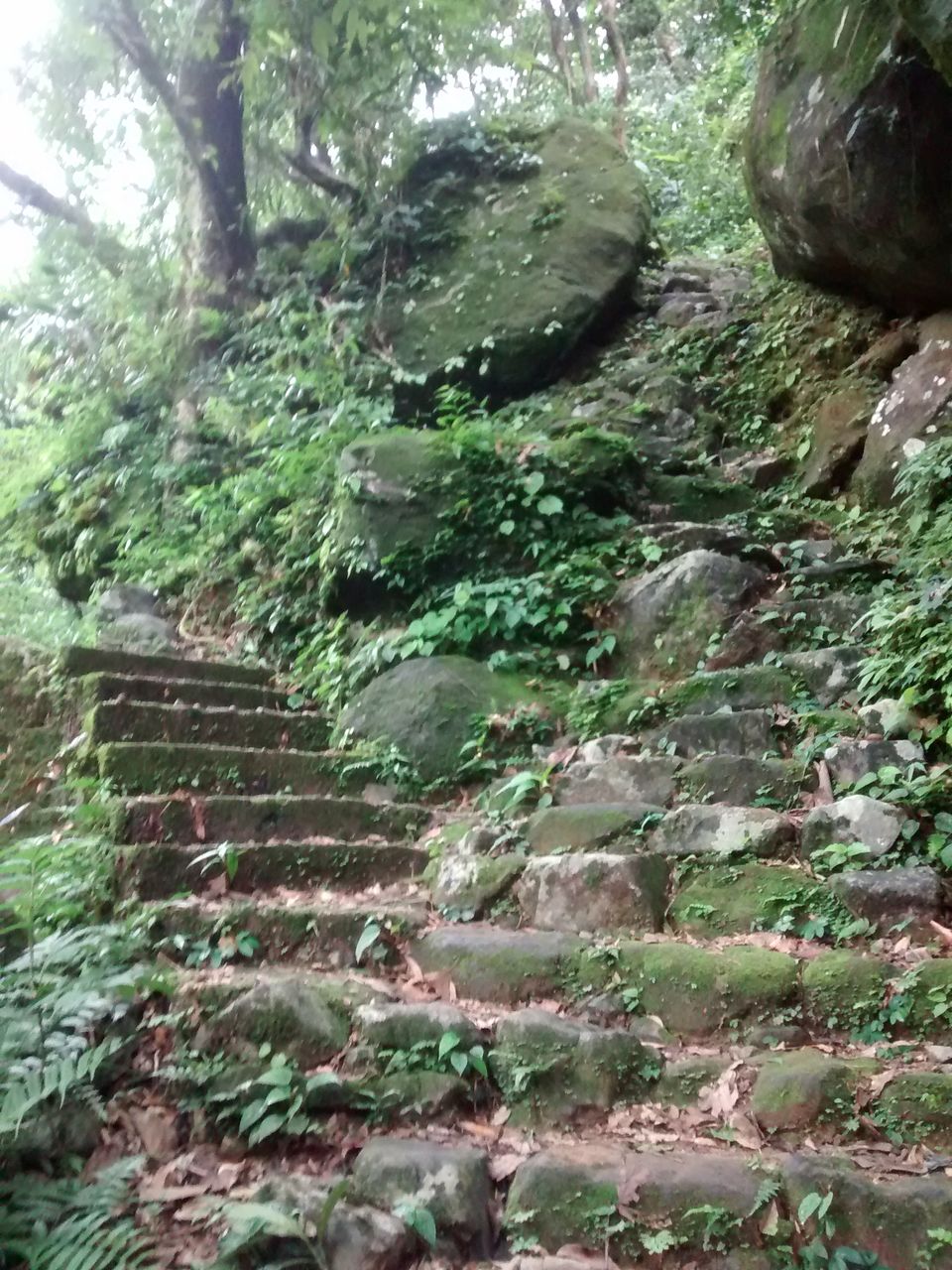 Photo of Cherrapunjee, Meghalaya, India by Eldho Elias