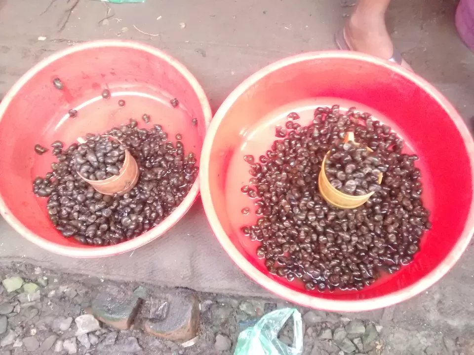 Photo of Exploring the tastes of Dimapur (Nagaland) and the Dog Meat by Eldho Elias